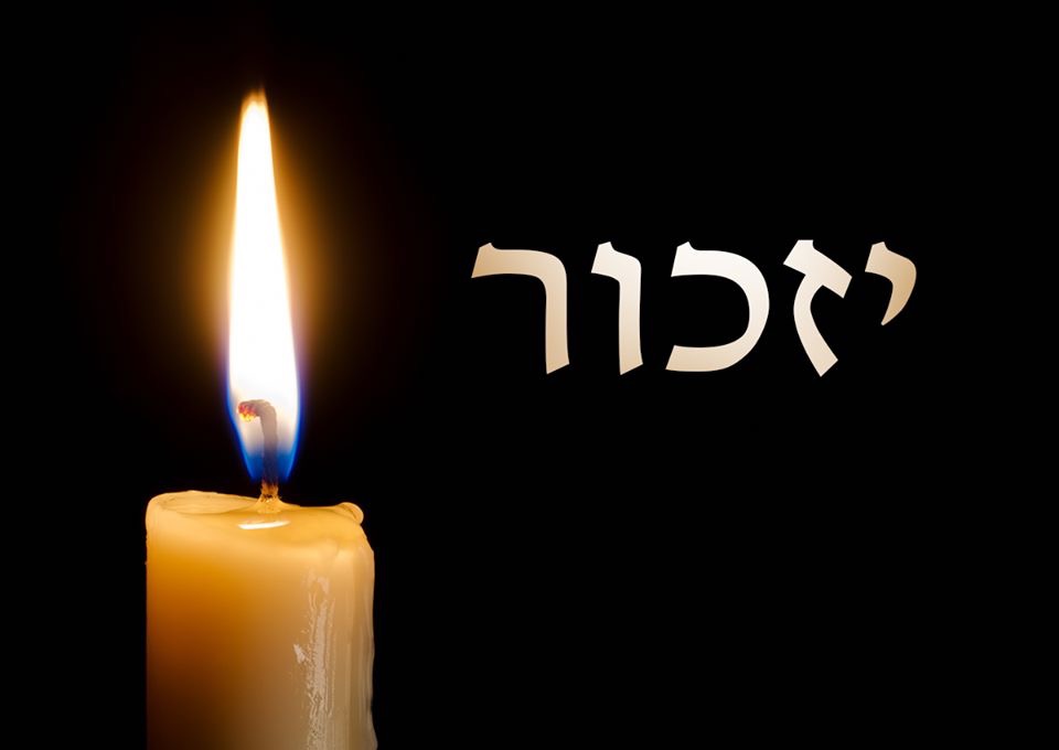 רועי קליין ז