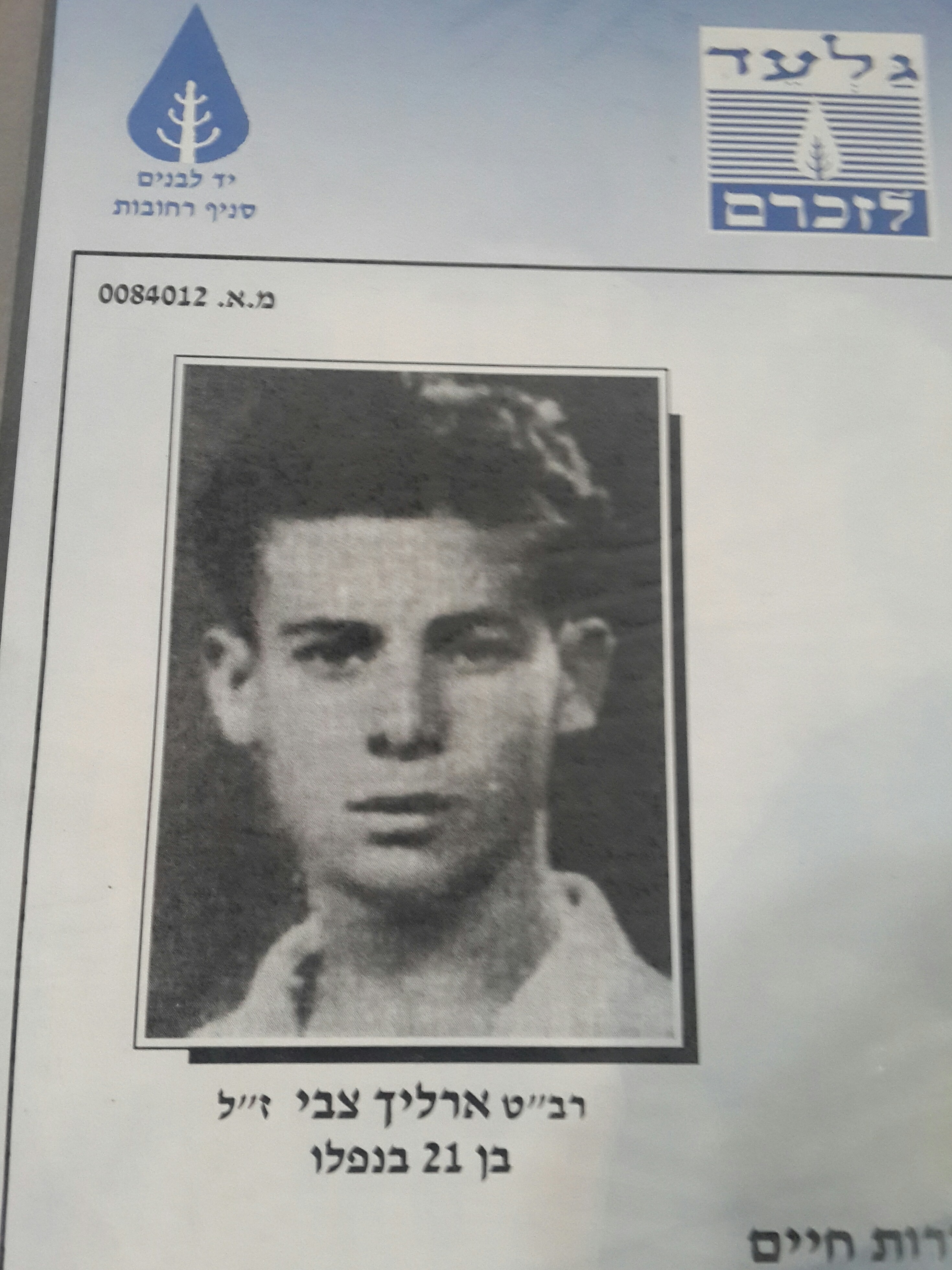 צבי ארליך ז