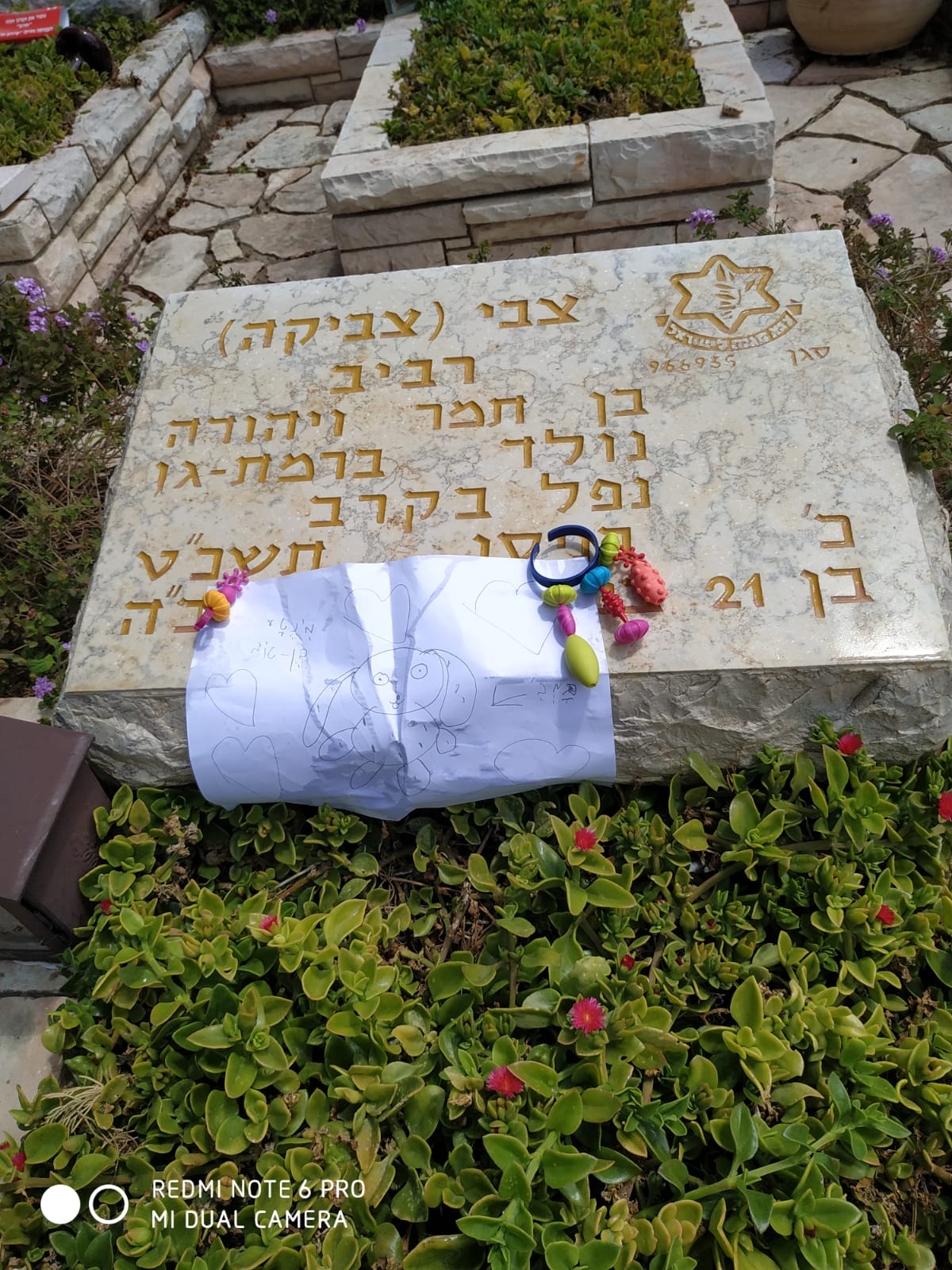 צביקה רביב ז